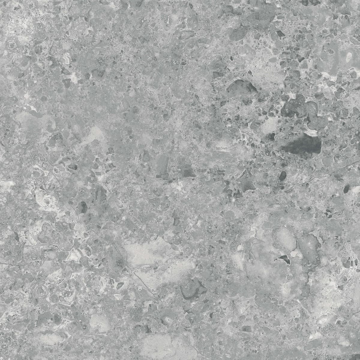 Atacama Grey Dak62121, 60x60 RTT