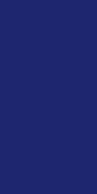 Bazenske Plocice Dark Blue 10x20