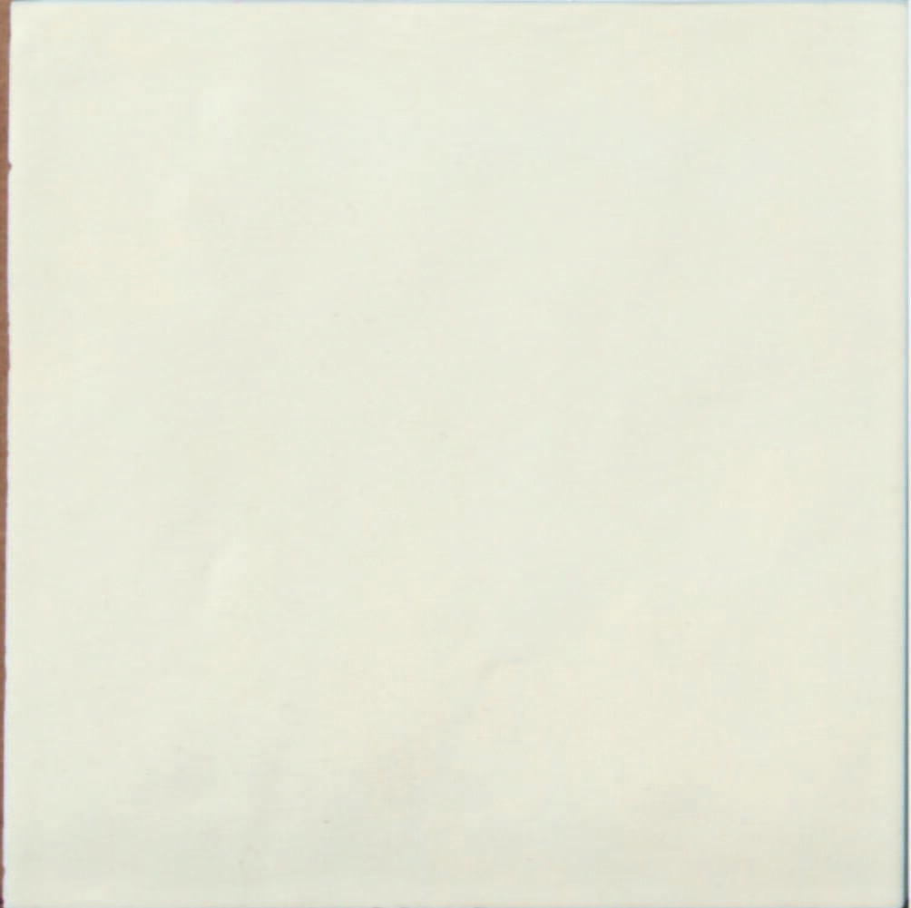 Contemporapy Coconut Milk 15x15 R59 - Slika 2